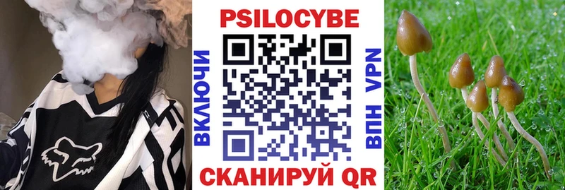 цены наркотик  Разумное  Псилоцибиновые грибы Psilocybe 